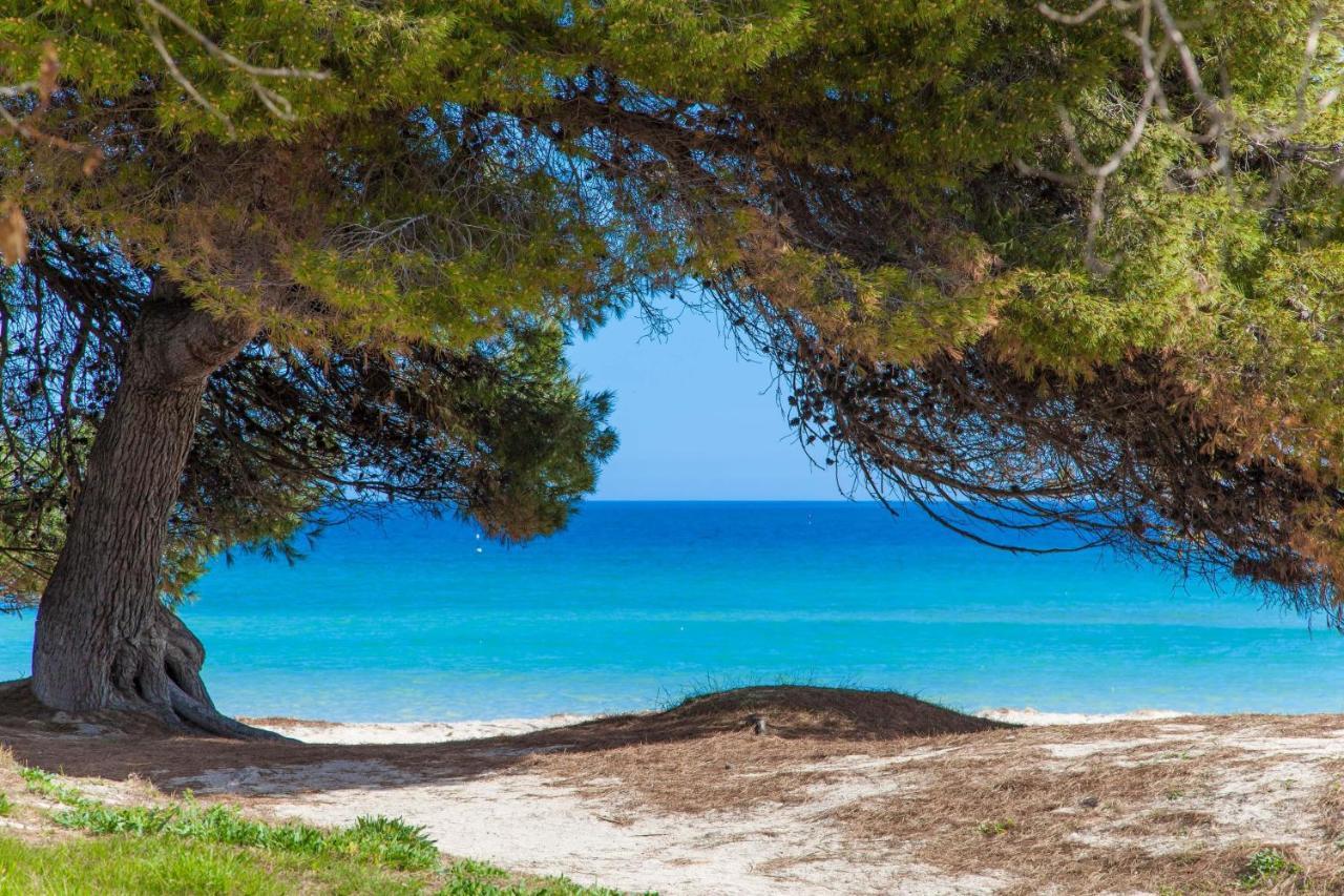 Violeta De Mar Playa de Muro (Mallorca) Exterior foto